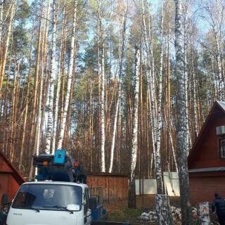 Спил дерева, автовышка 28м, Ленинский район