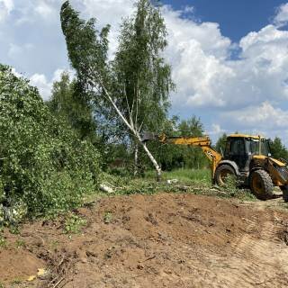 Расчистка участка, валка и спил деревьев в Авдеевке